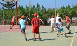 Basket