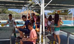 Pingpong