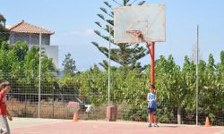 Basket2