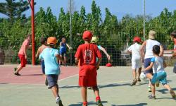 Basket