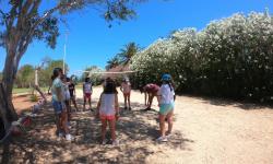 Gopr0604