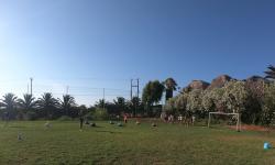 Gopr0667